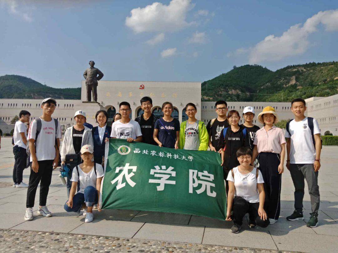 小魔仙舞蹈表演